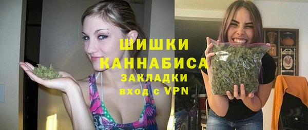 mix Богородицк